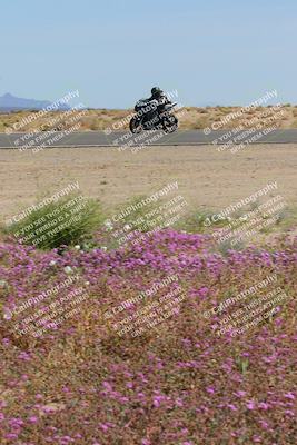 media/Mar-12-2023-SoCal Trackdays (Sun) [[d4c8249724]]/Turn 15 Inside Bloom (130pm)/